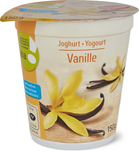 Joghurt laktosefrei Vanille aha!