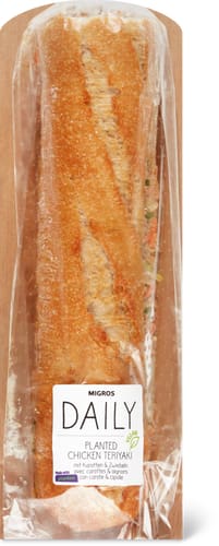 Baguette planted Teriyaki con carote e cipolle