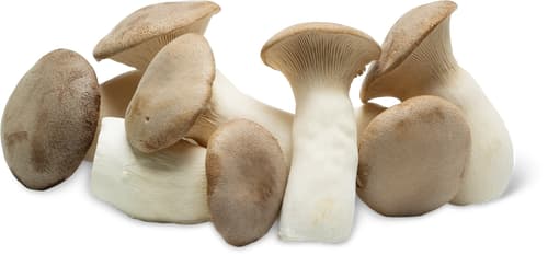 Bio King Trumpet Mushrooms