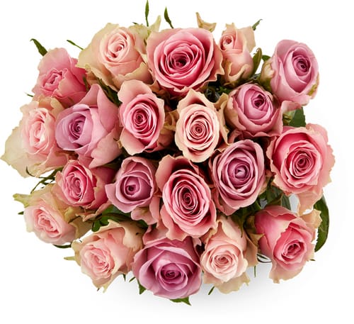 Mini Roses Pastel-Coloured 40 cm