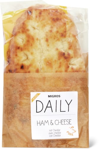 Hot SW Ham & Cheese
