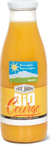 Aus der Region Bio Bio veloute de courge