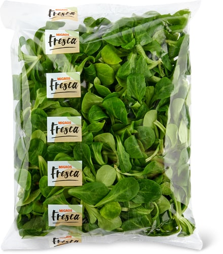 Nüsslisalat