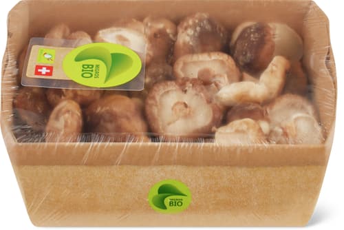 Bio Shiitake