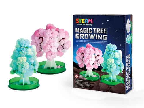 Science Educational Toy Set Assorted