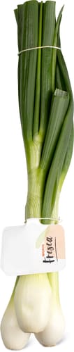 Fresca Spring Onions