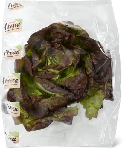 Kopfsalat rot