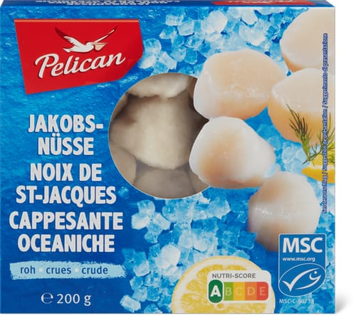 MSC Scallops Raw