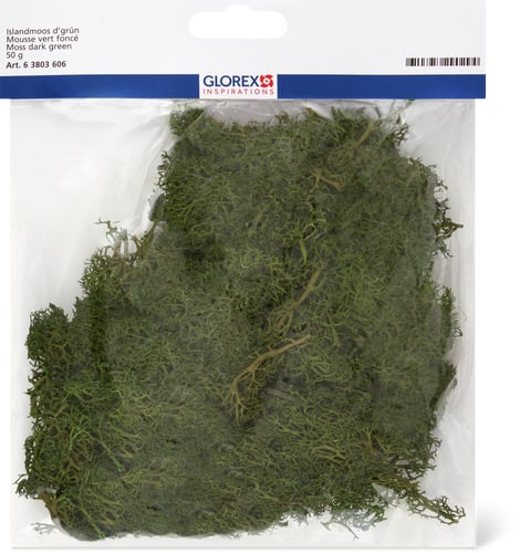 Iceland Moss