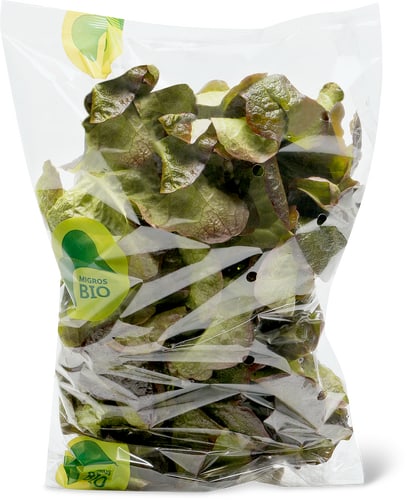 Bio Oak Leaf Lettuce Red