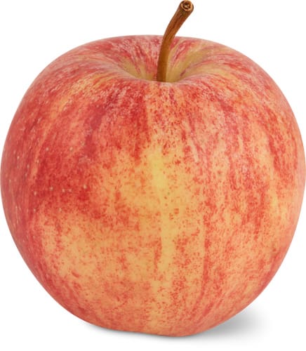 Äpfel rot süsslich Gala