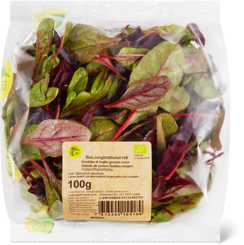 Bio Young Leaf Lettuce Red