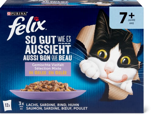 Senior Mixed Jelly Variety Salmon, Sardine, Beef, Chicken