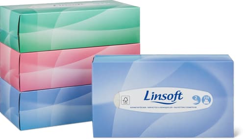Cosmetic Wipes Box 2-Ply, 4-Pack