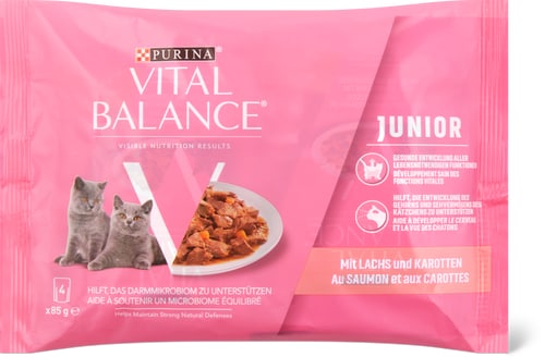 Junior mit Lachs und Karotten