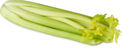 Stangensellerie