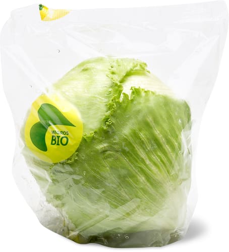 Bio Iceberg Lettuce