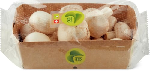 Bio Button Mushrooms White