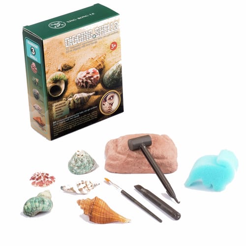 Discovery Toy Blue Assorted