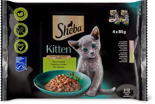 Deliziosa varietà in salsa per gattini Salmone, pollo