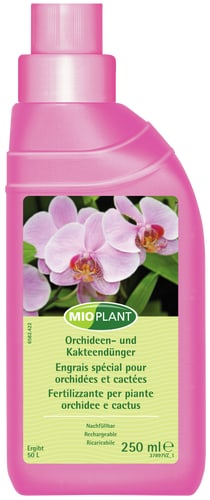 Orchid and Cactus Fertiliser