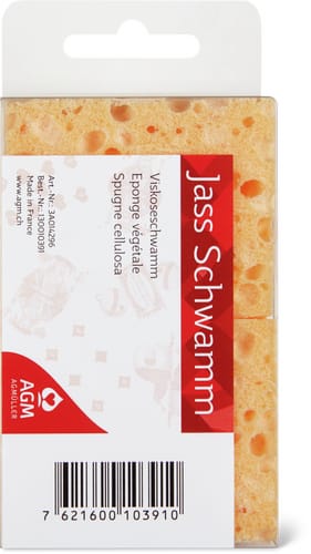 Viscose sponge