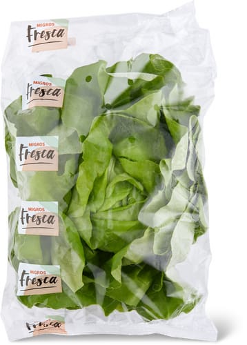 Kopfsalat grün