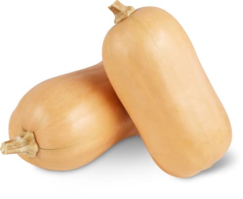 Butternusskürbis