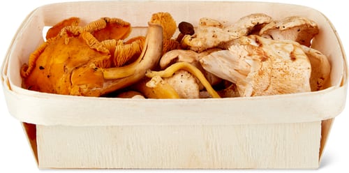 Wildpilzmischung