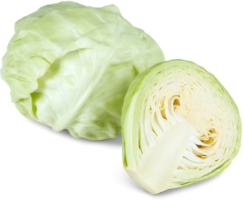 Fresca White Cabbage