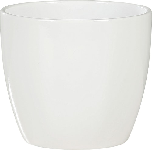 Coprivaso per cactus 9 cm