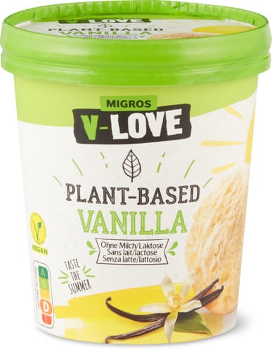 Ice Cream Tub  Vanilla