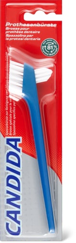 Denture Brush