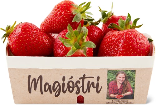 Erdbeeren