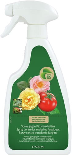 Spray gg Pilzkrankh.
