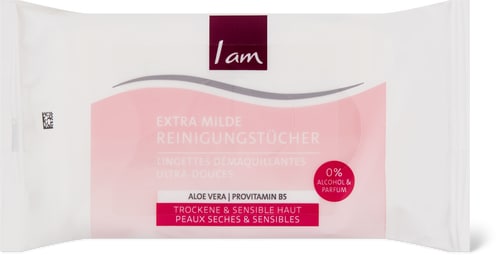 Cleansing wipes  Travel size