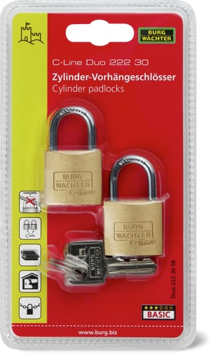 Lucchetto a cilindro 222 30 