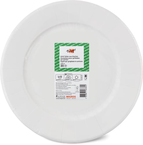 Plates Paper, 28 cm