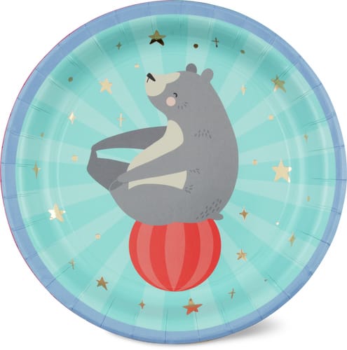 Paper plates 12 pieces