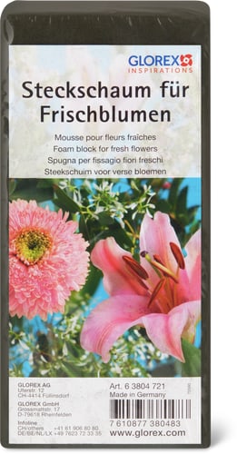 Spugna per fiori recisi