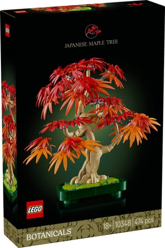 Botanicals Japanese Red Maple Bonsai Tree (10348)