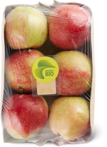 Bio Seasonal Apples