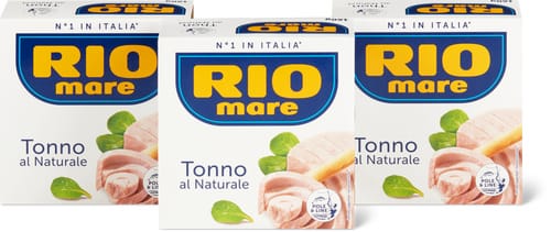 Tuna in Brine