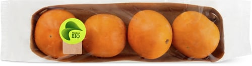 Kaki Persimmon