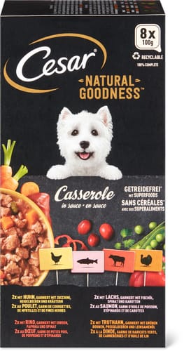 Cesar Casserole in sauce with chicken, beef, salmon and turkey