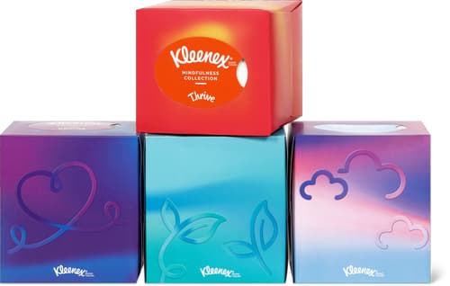 Collection Cosmetic Wipes   3-Ply