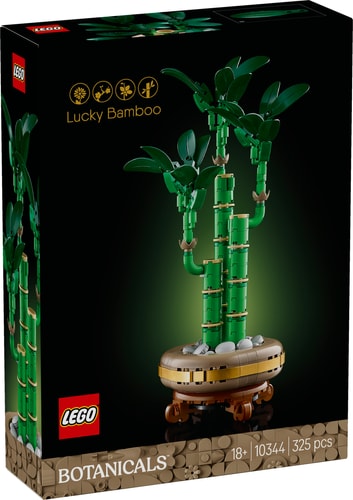 Botanicals Lucky Bamboo (10344)