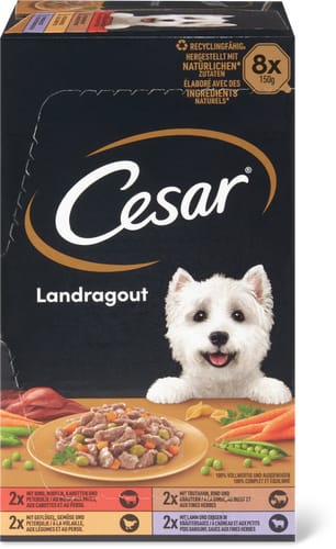 Country Ragout in Sauce With Beef, Poultry, Turkey and Lamb