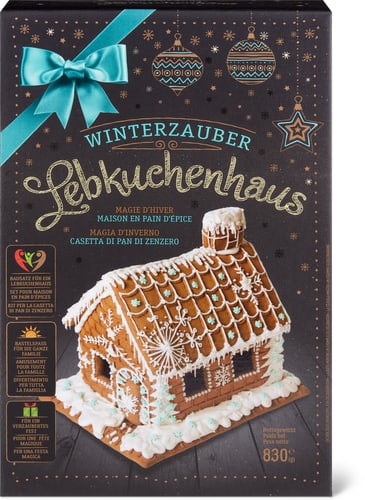 Gingerbread House Winter Magic