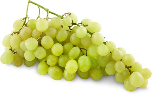 Sélection Grapes Italia